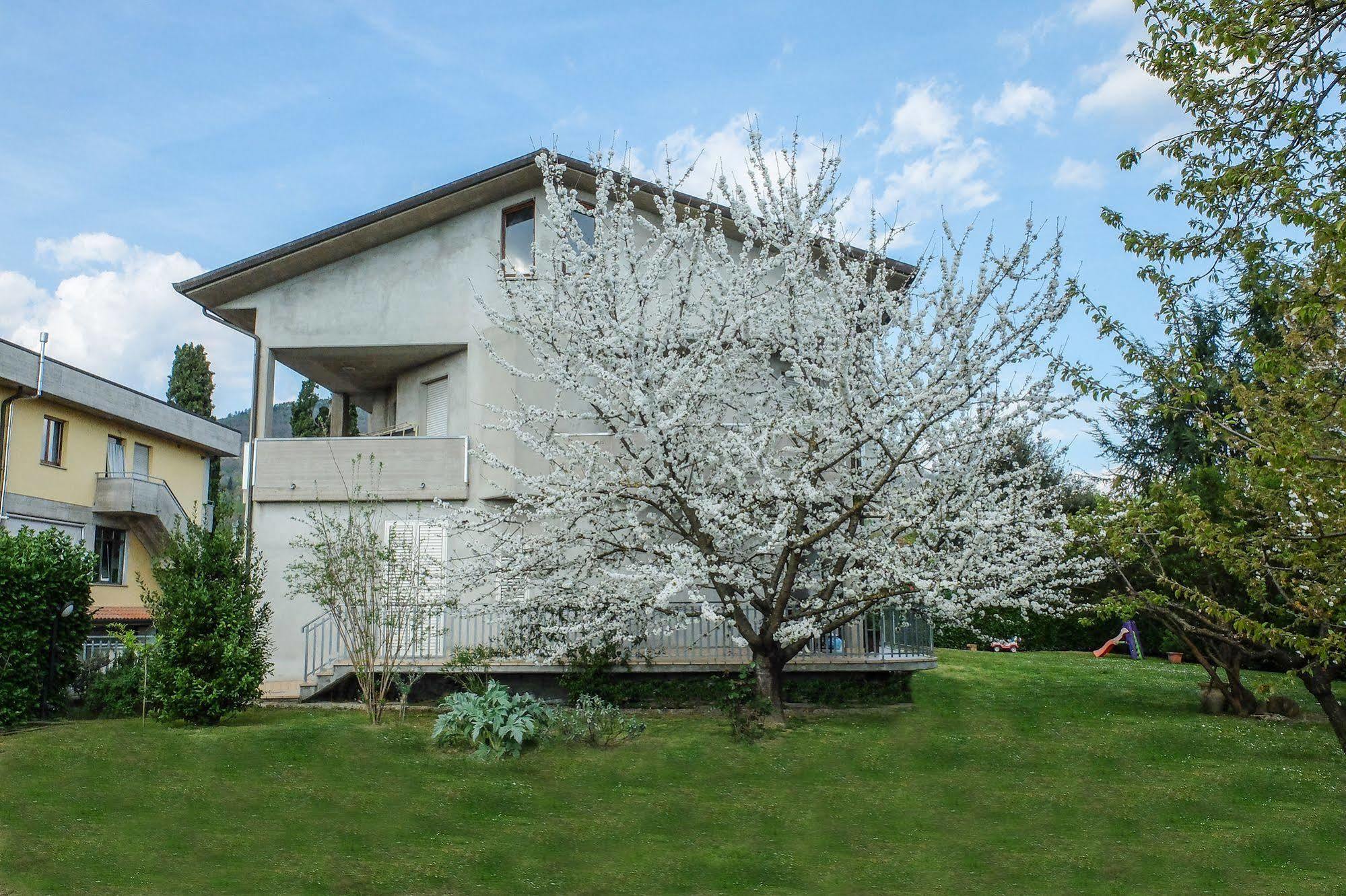 B&B I Fiori San Giustino 外观 照片